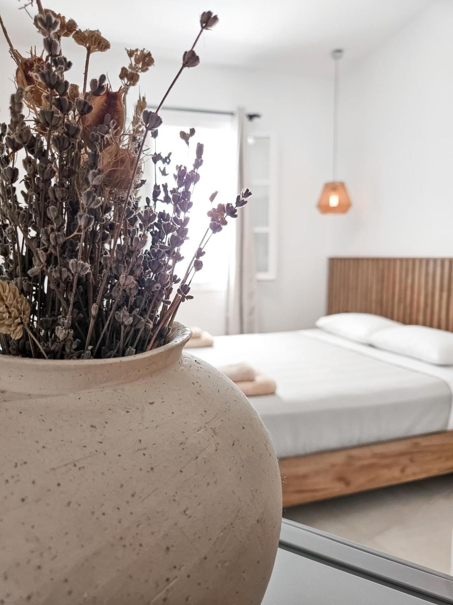 Oikia Suites Mykonos Mykonos Town Bagian luar foto
